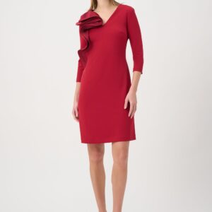 Deep Cherry Statement Ruffle A Line Dress