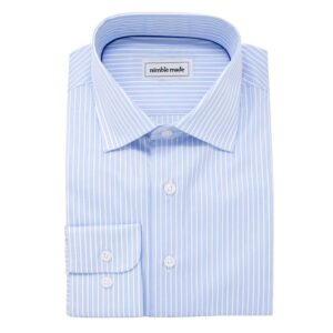 Blue and White Striped Dress Shirt